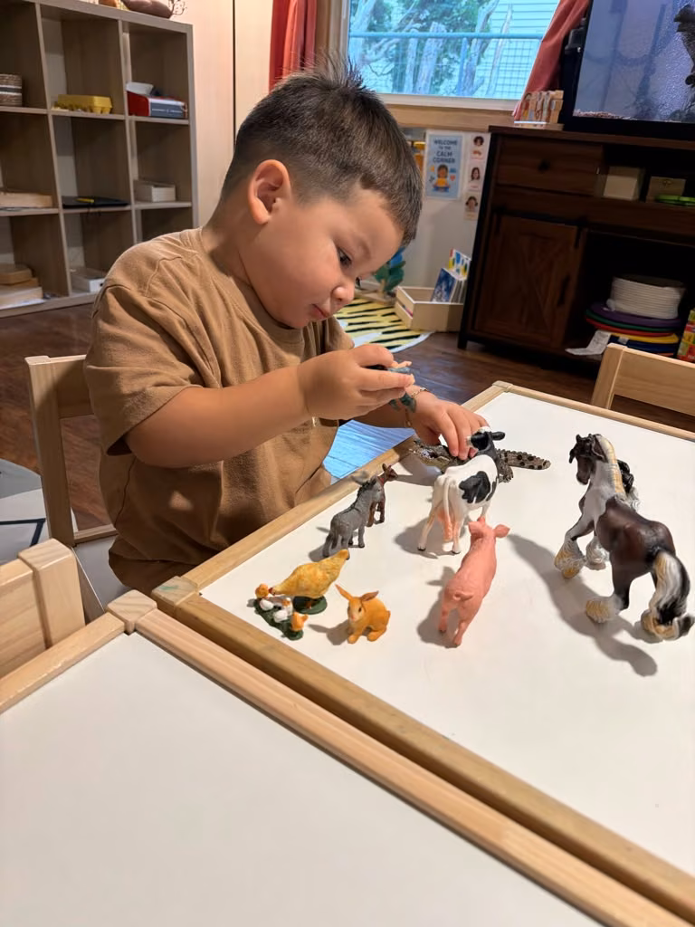 Niño jugando con figuras de animales