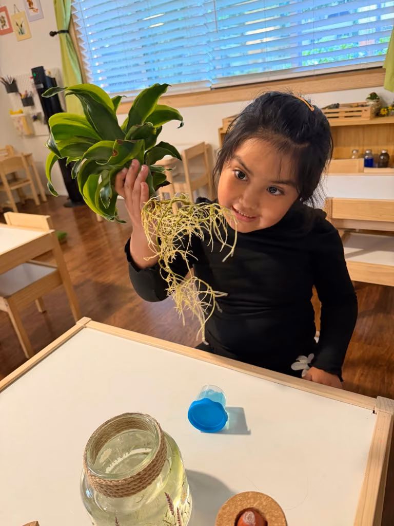 Niña explorando una planta en la mesa de trabajo